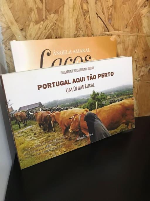 Rustico T1 No Centro Cidade Guarda Luaran gambar